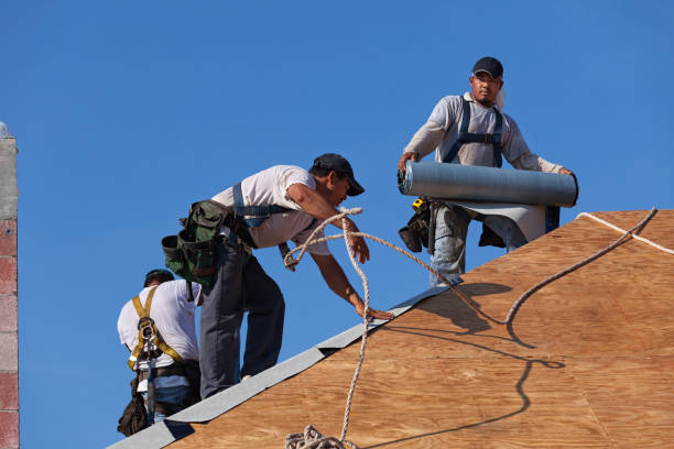 Best Roof Gutter Cleaning  in Grandview, IL