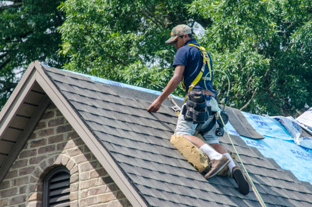 Best Residential Roofing Contractor  in Grandview, IL